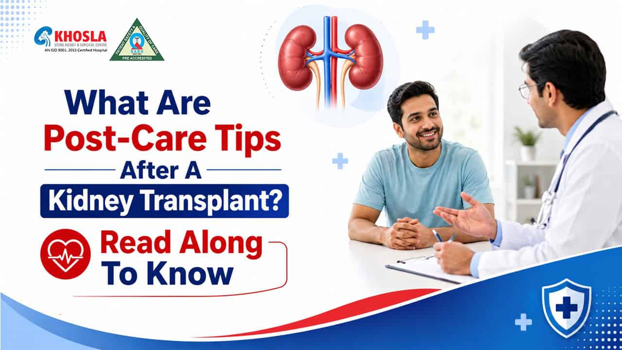 What Are Post-Care Tips After A Kidney Transplant? Read Along To Know