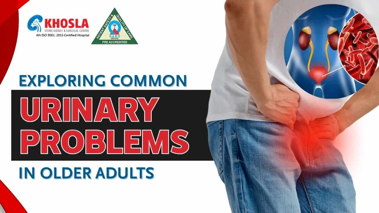 Exploring Common Urinary Problems in Older Adults