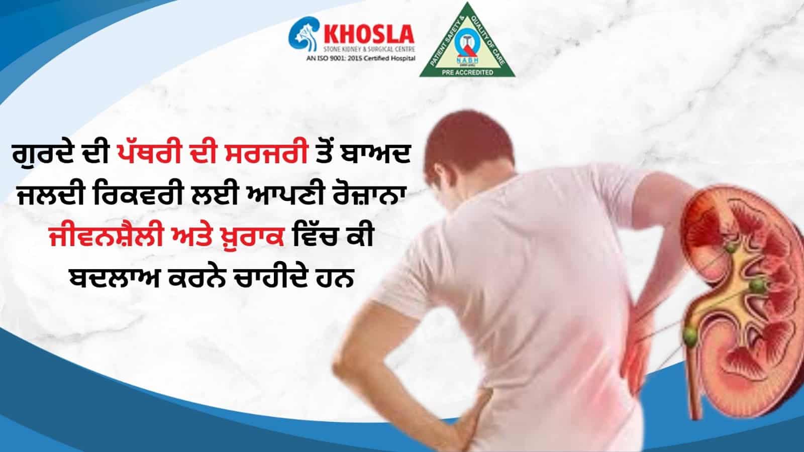 ਗੁਰਦੇ ਦੀ ਪੱਥਰੀ ਦੀ ਸਰਜਰੀ ਤੋਂ ਬਾਅਦ ਜਲਦੀ ਰਿਕਵਰੀ ਲਈ ਆਪਣੀ ਰੋਜ਼ਾਨਾ ਜੀਵਨਸ਼ੈਲੀ ਅਤੇ ਖ਼ੁਰਾਕ ਵਿੱਚ ਕੀ ਬਦਲਾਅ ਕਰਨੇ ਚਾਹੀਦੇ ਹਨ