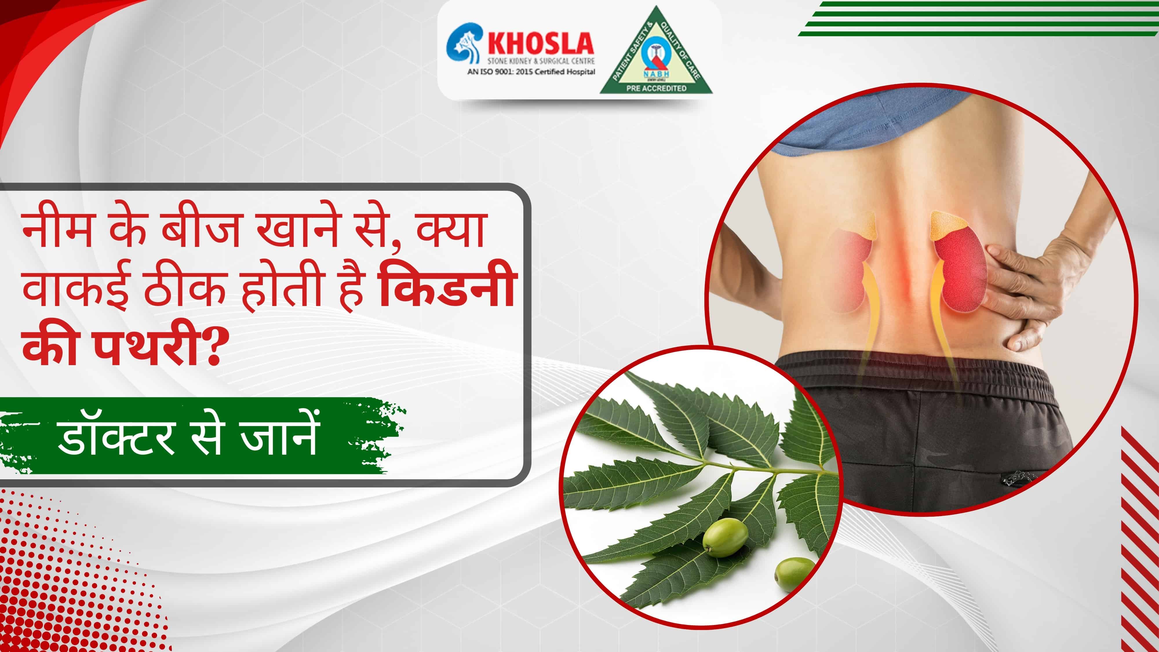 नीम के बीज खाने से, क्या वाकई ठीक होती है किडनी की पथरी? डॉक्टर से जानें