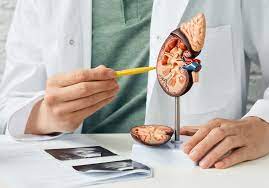 Understanding Common Urologic Concerns & Protecting Your Health